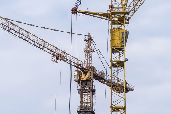 Cranes Cranes